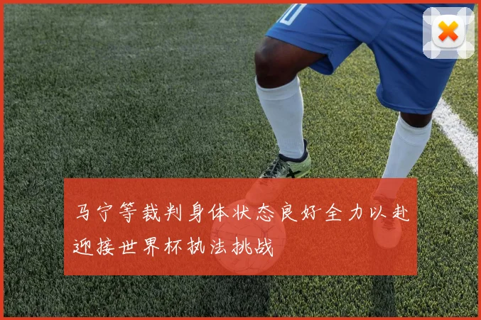 马宁等裁判身体状态良好全力以赴迎接世界杯执法挑战