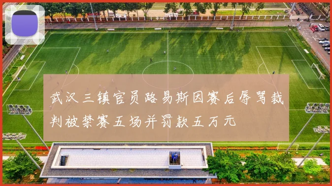 武汉三镇官员路易斯因赛后辱骂裁判被禁赛五场并罚款五万元