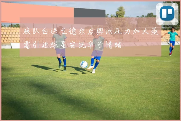 狼队白送兰德尔后舆论压力加大亟需引进球星安抚华子情绪